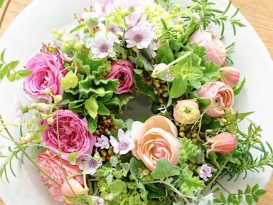 トライアルコース